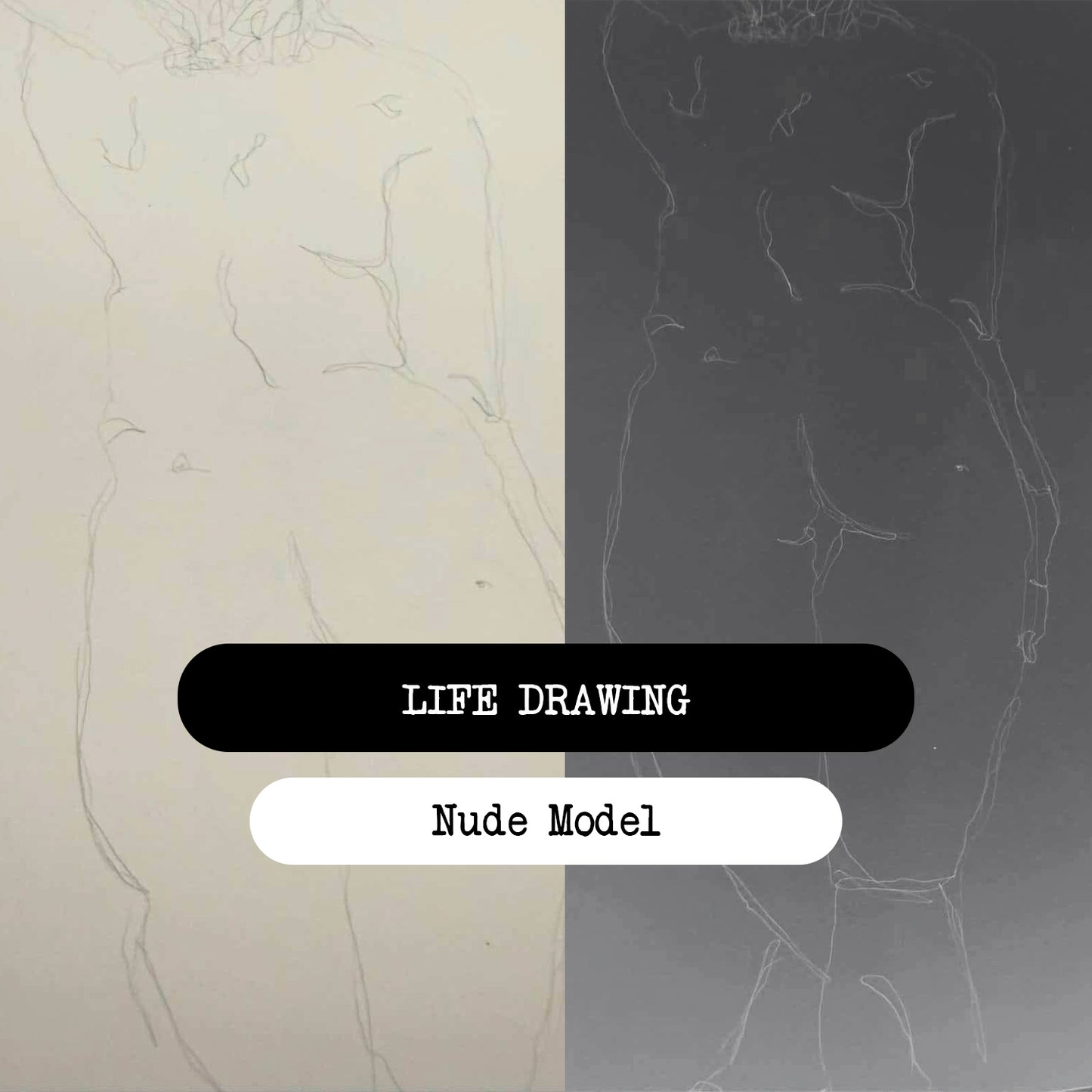 Life Drawing
